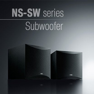 DISCOVER TRUE SOUND Subwoofer Speaker